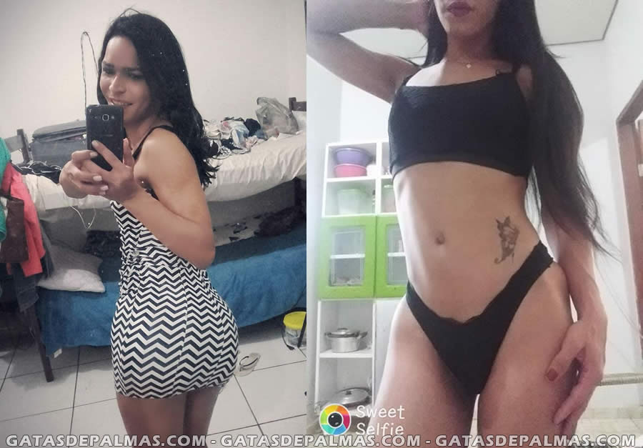 Transexual Pamela Paola Acompanhante em Palmas